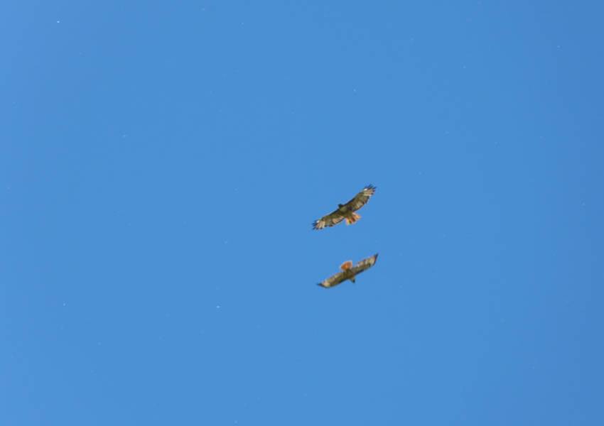 wallowa lake iwetemlaykin