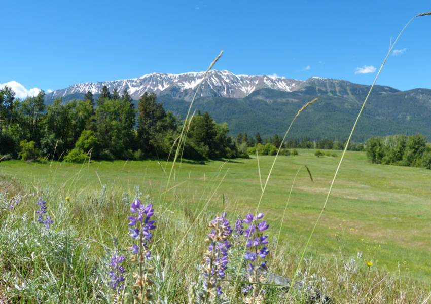 wallowa lake iwetemlaykin