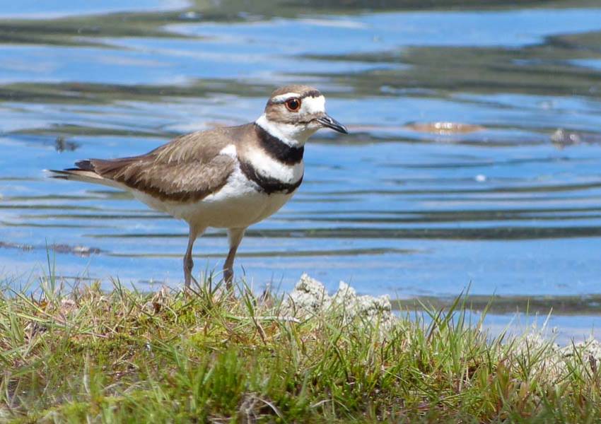 wallowa lake riverside d u